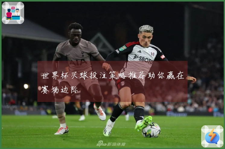 世界杯买球投注策略推荐助你赢在赛场边际