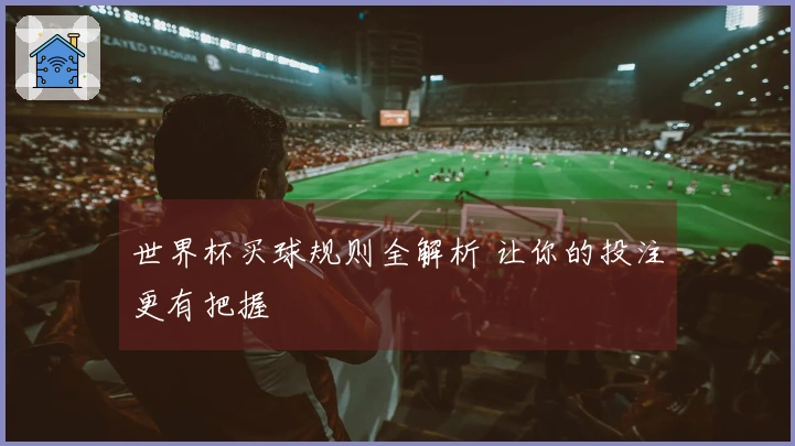 世界杯买球规则全解析 让你的投注更有把握