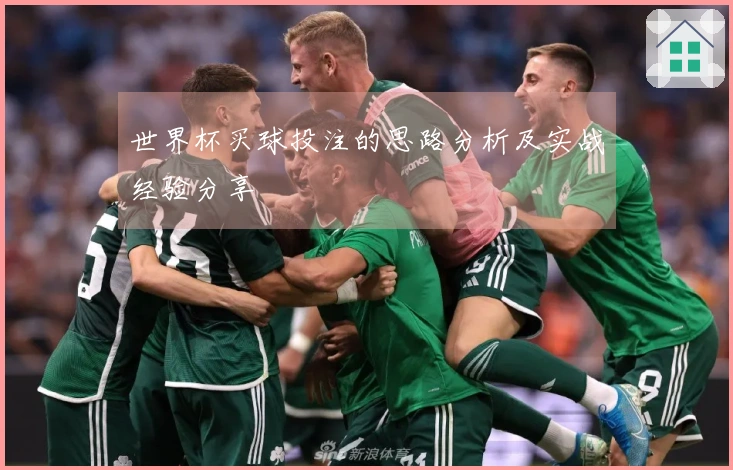 世界杯买球投注的思路分析及实战经验分享