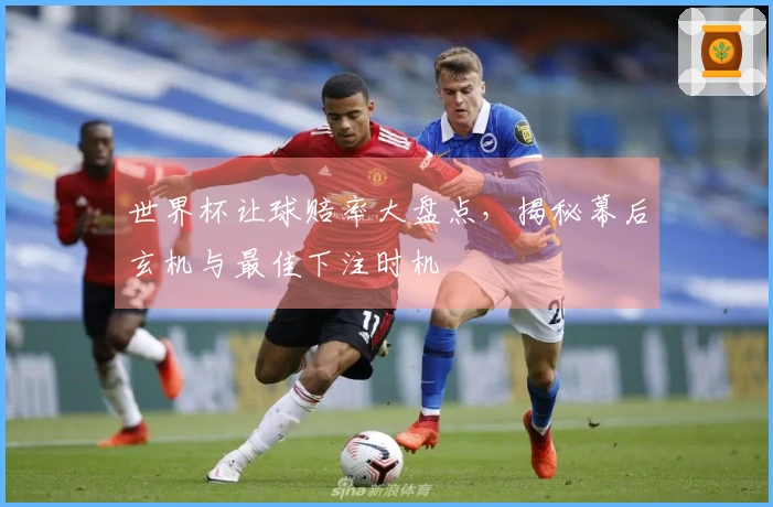世界杯让球赔率大盘点，揭秘幕后玄机与最佳下注时机