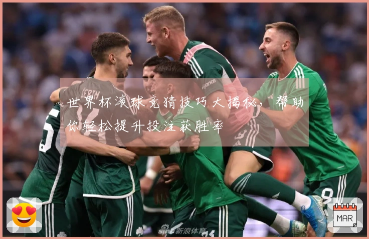 世界杯滚球竞猜技巧大揭秘，帮助你轻松提升投注获胜率