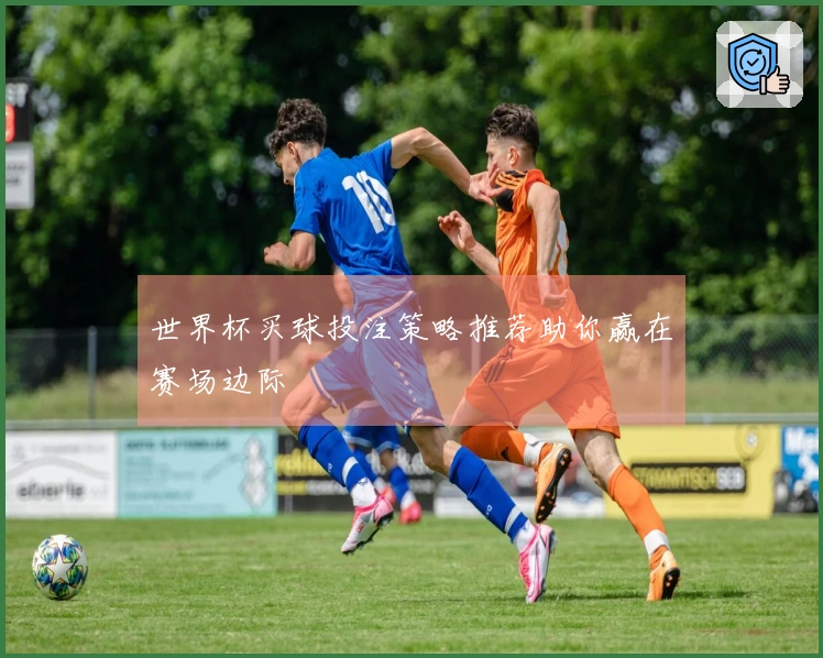 世界杯买球投注策略推荐助你赢在赛场边际