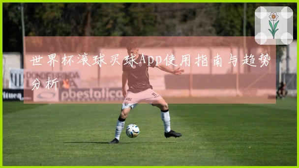 世界杯滚球买球App使用指南与趋势分析