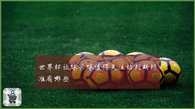 世界杯让球买球值得关注的判断标准有哪些