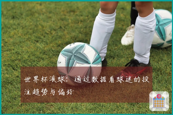 世界杯滚球：通过数据看球迷的投注趋势与偏好