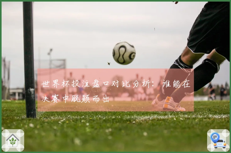 世界杯投注盘口对比分析：谁能在决赛中脱颖而出