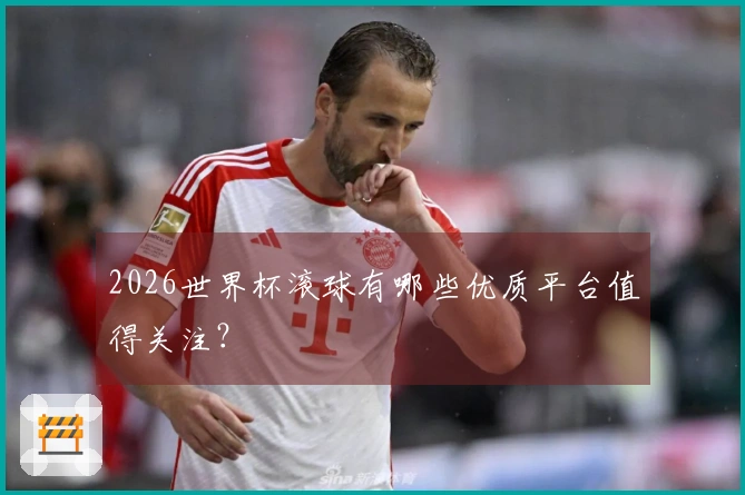 2026世界杯滚球有哪些优质平台值得关注？