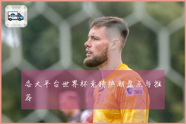 各大平台世界杯竞猜热潮盘点与推荐