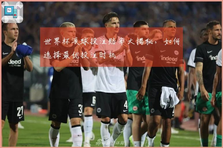 世界杯滚球投注赔率大揭秘，如何选择最优投注时机